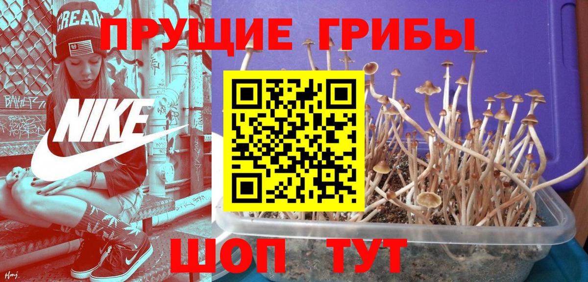 Галлюциногенные грибы MAGIC MUSHROOMS Ейск
