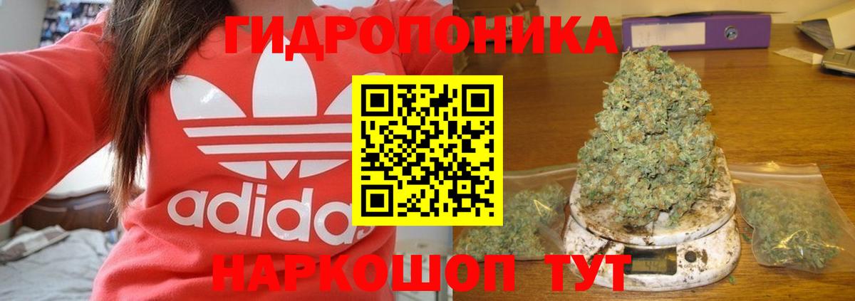 Каннабис Bruce Banner  Шишки марихуана план  Вход с VPN  Канабис индика  Ейск 